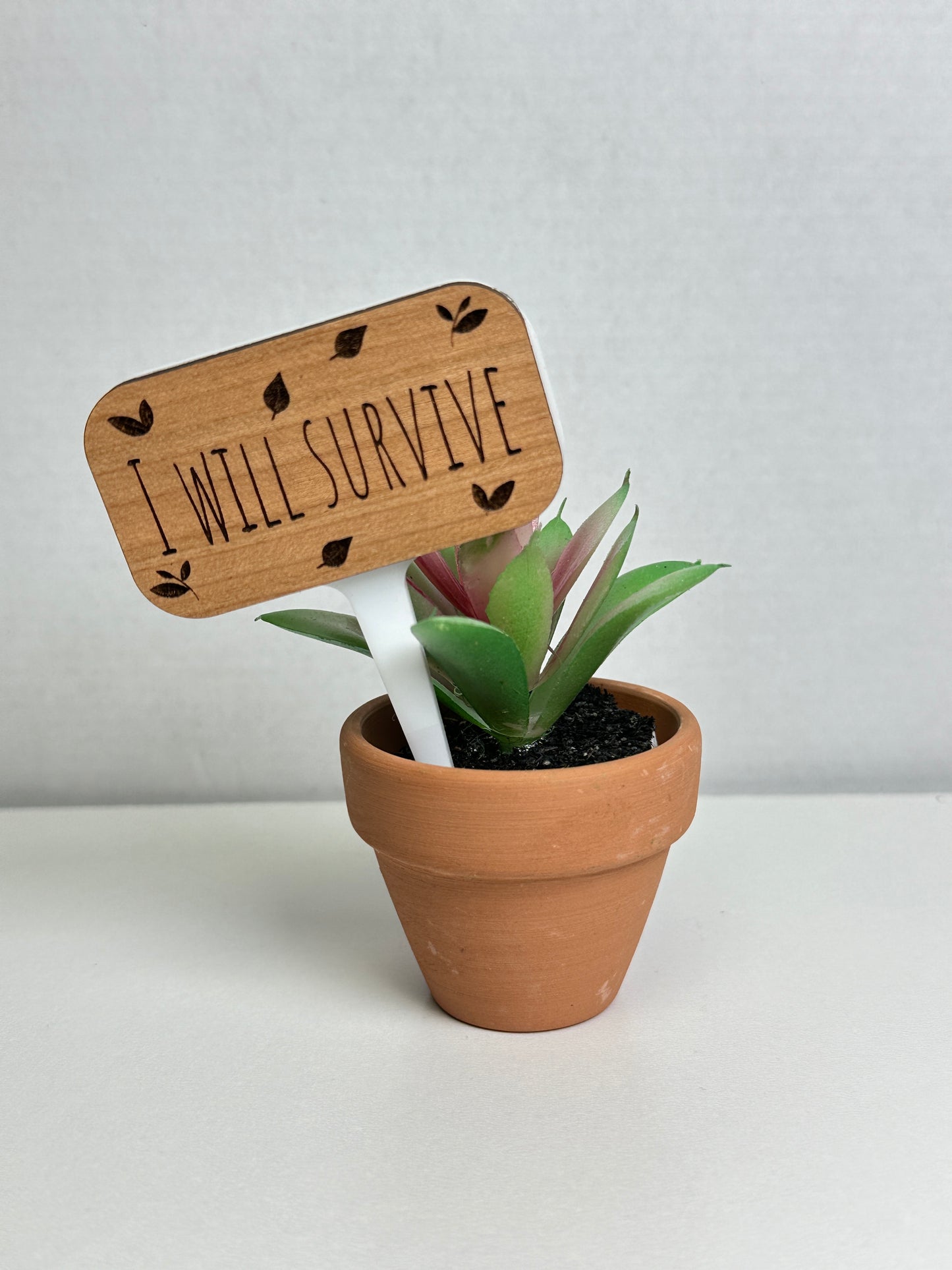 Plant Stakes