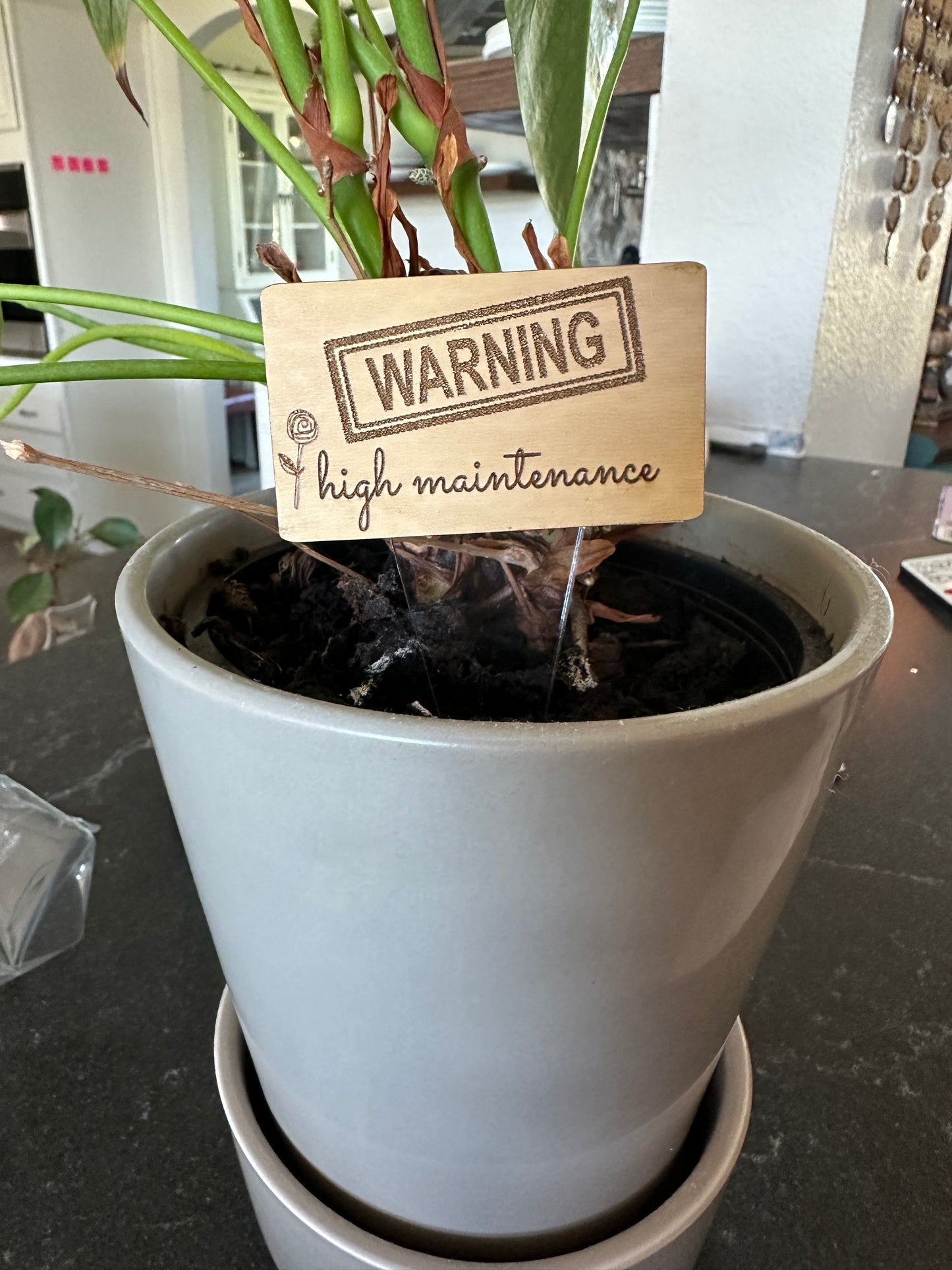 Plant Stakes