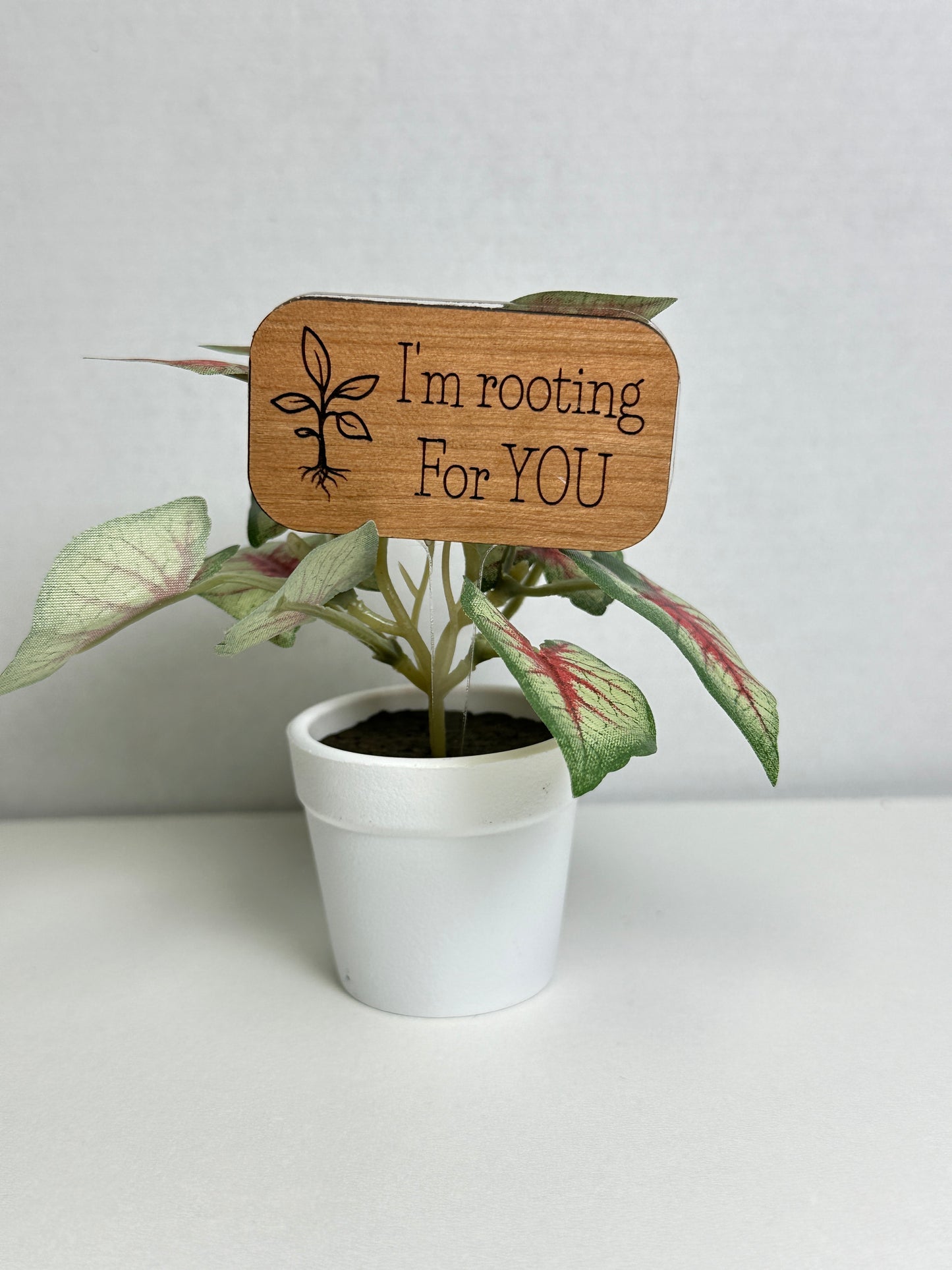 Plant Stakes