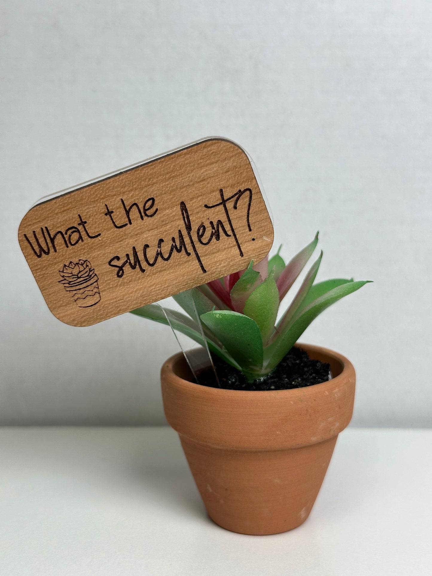 Plant Stakes