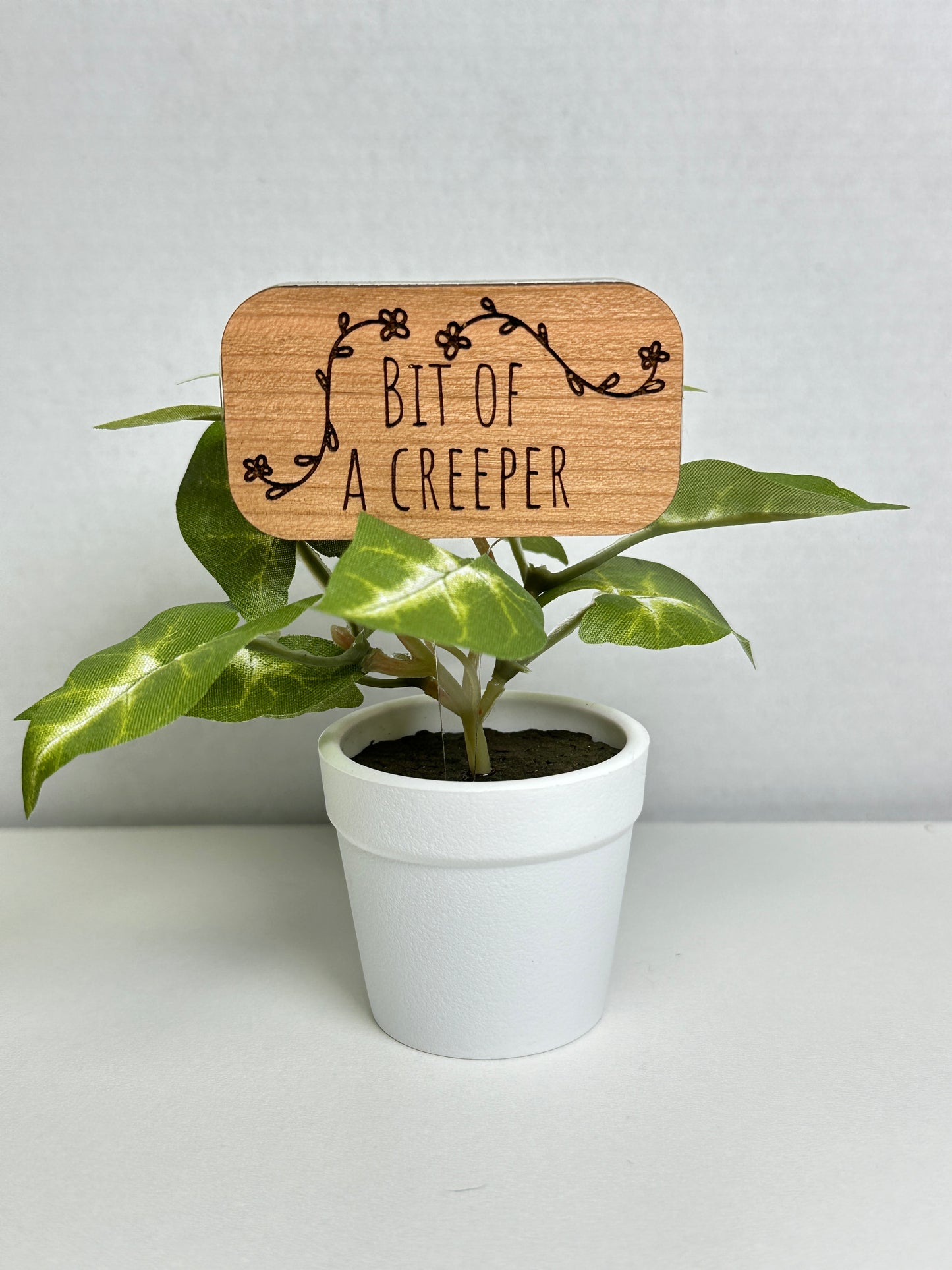 Plant Stakes