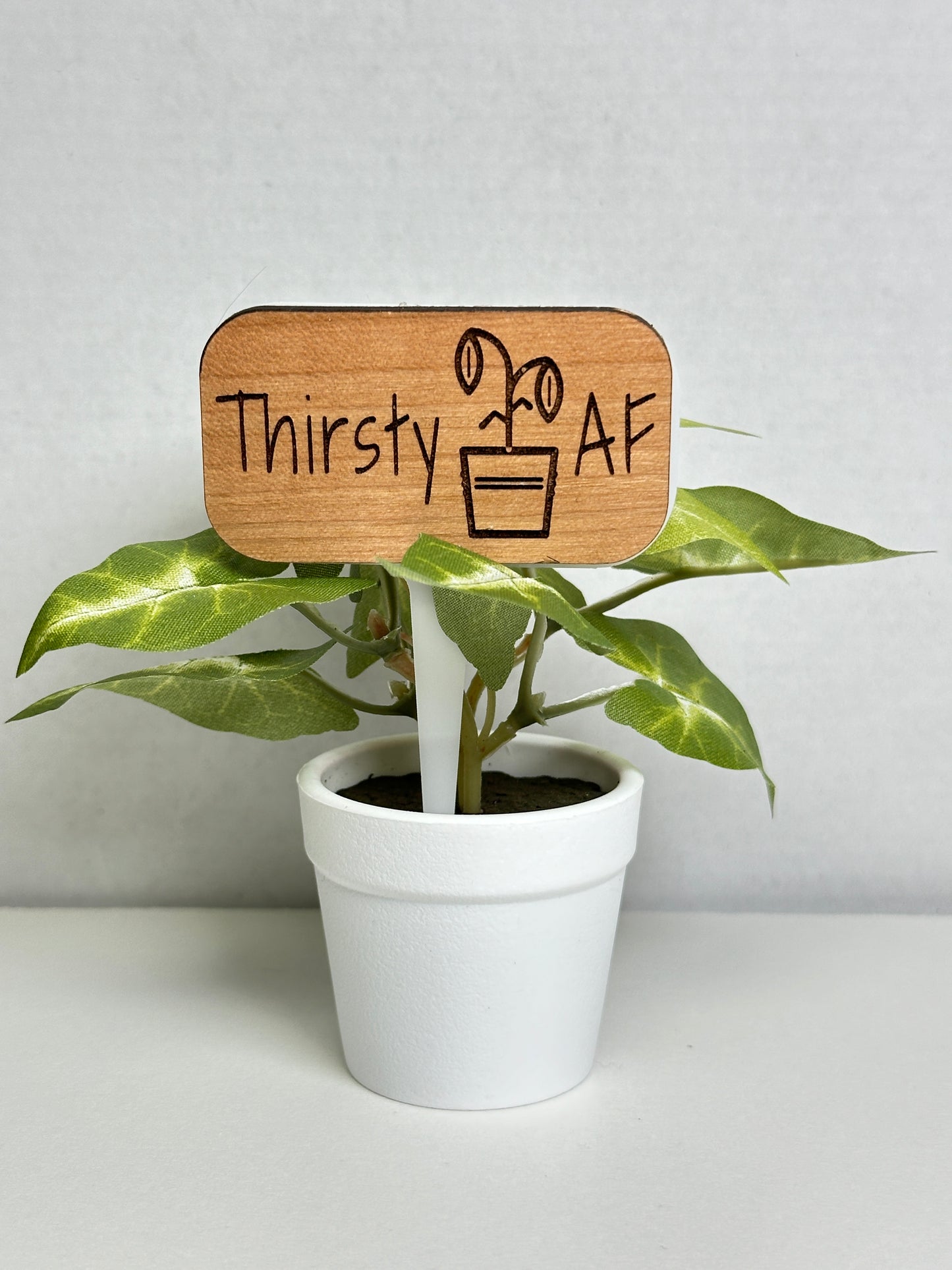 Plant Stakes
