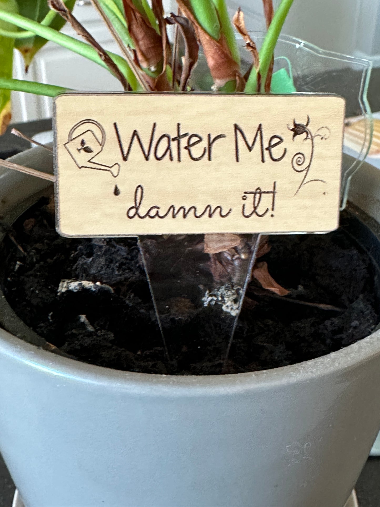 Plant Stakes