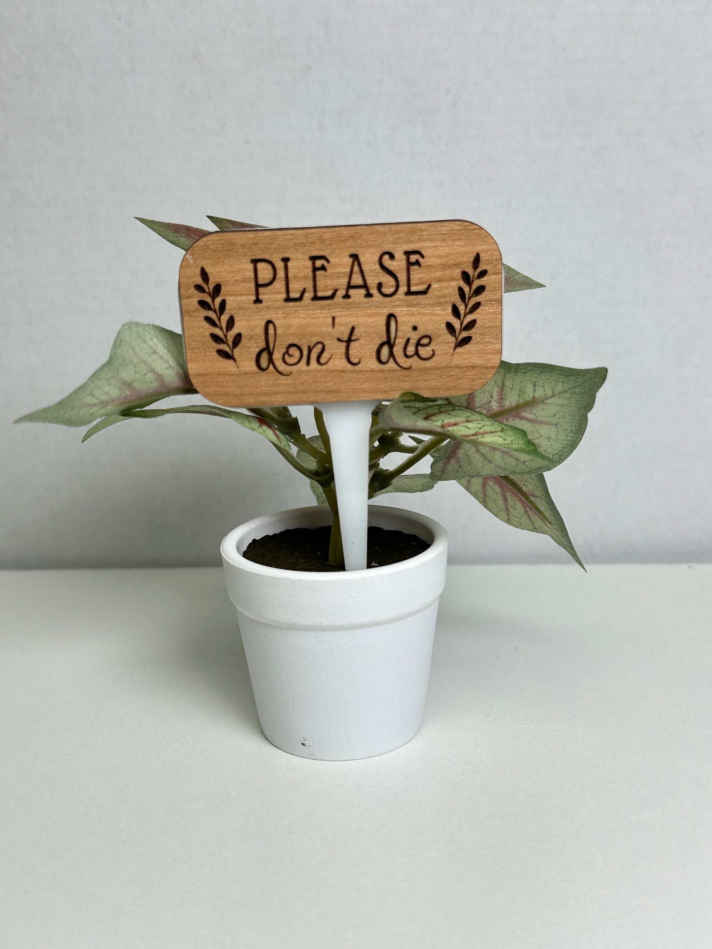 Plant Stakes