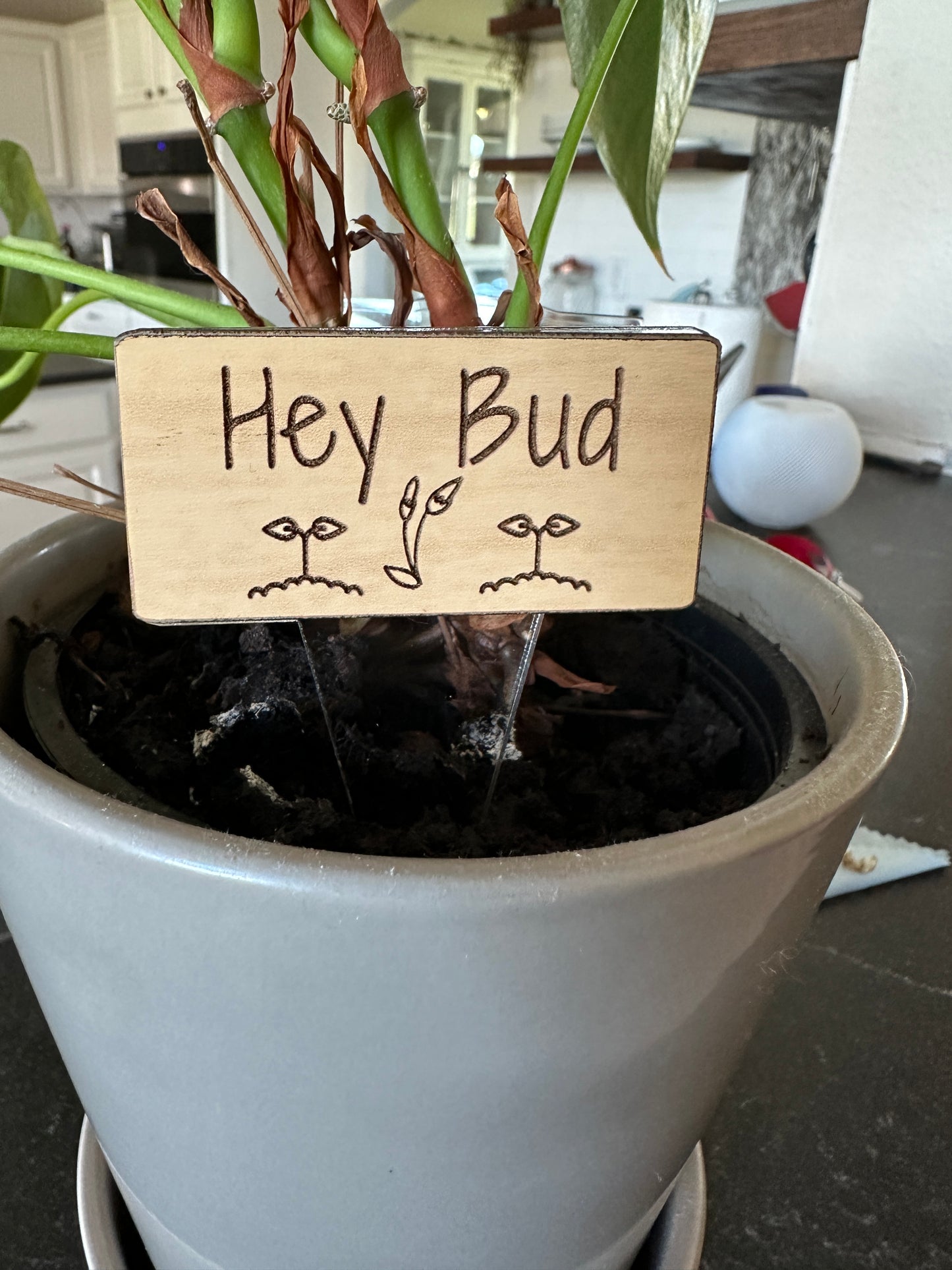 Plant Stakes
